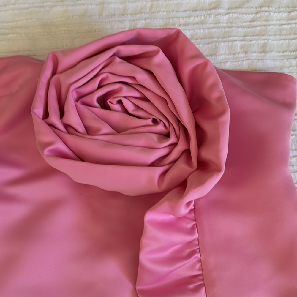 Pretty in Pink Party Dress sz 3X NWT - Picture 3 of 9